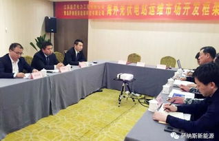 薩納斯與龐沃電力強強聯(lián)合，開啟海外新能源技術(shù)服務(wù)新篇章